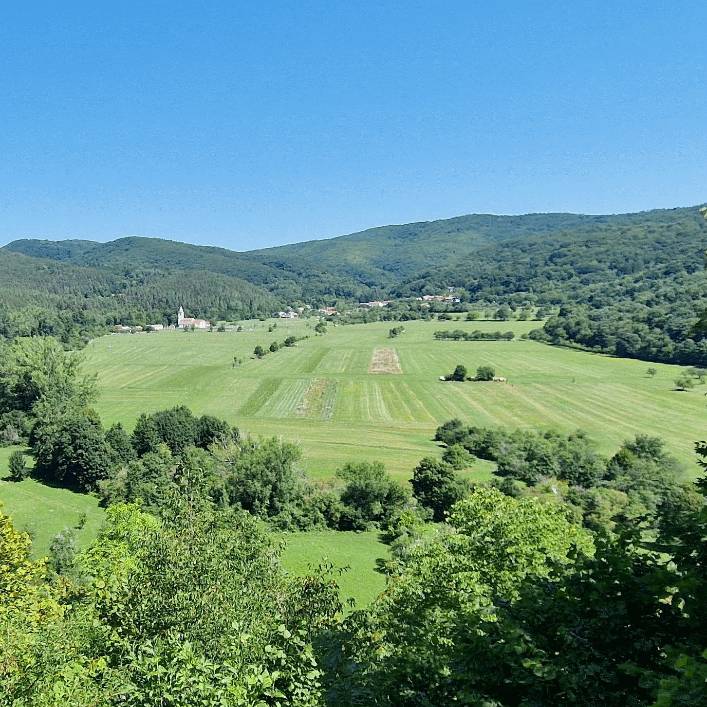 Brezovica Brkini